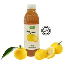 Load image into Gallery viewer, Osterberg Strawberry Fruit Crushes Smoothie Syrup 1000ml